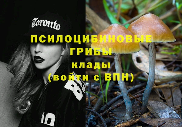 молекула духа Абаза