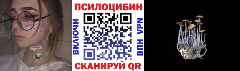 Псилоцибиновые грибы GOLDEN TEACHER  дарк нет официальный сайт  Мамадыш 